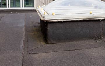 disadvantages of Rhos flat roofs