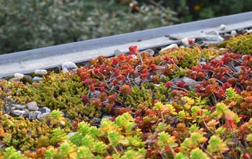 the cost of Rhos green roof installation