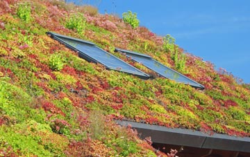 Rhos living roof systems